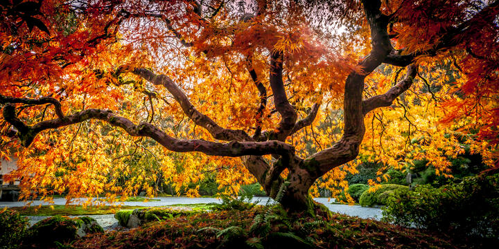 Brisbane Commercial Photographer - Steve Rutherford